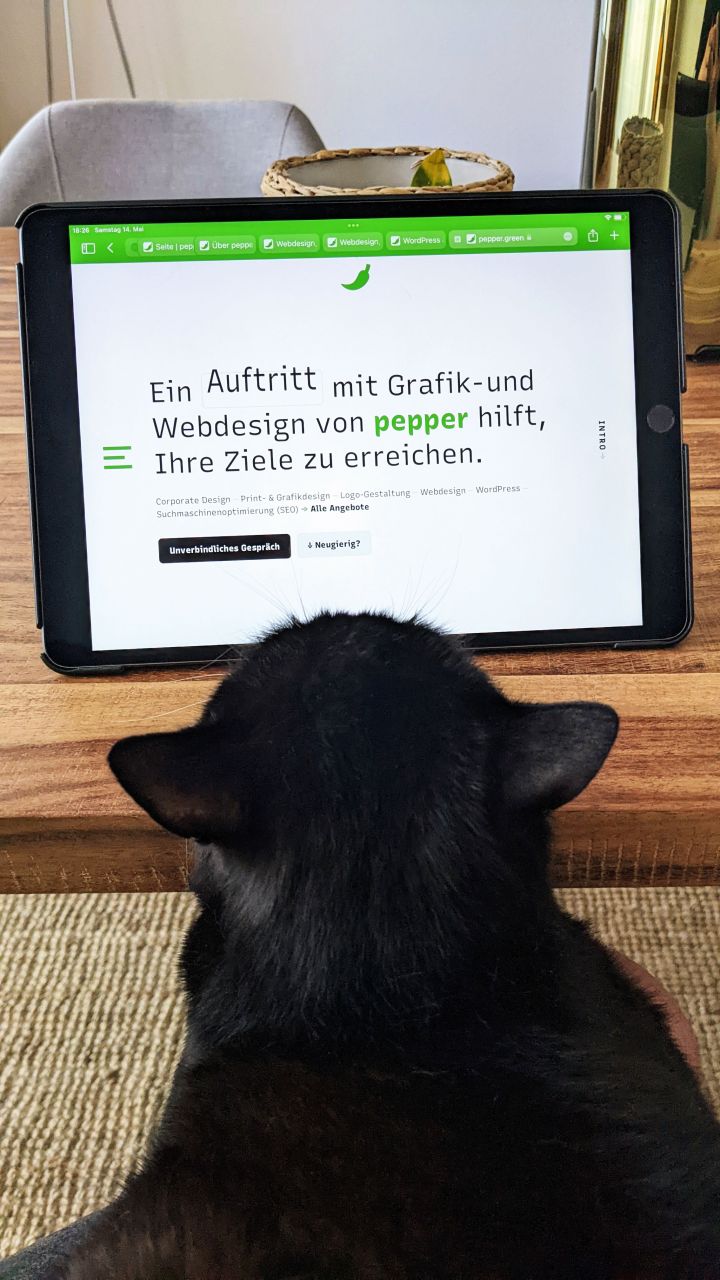 Eine schwarze Katze guckt auf ein iPad mit geöffneter Website